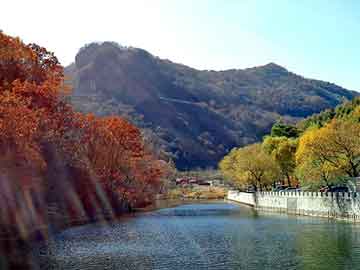 新澳天天开奖资料大全旅游团，游戏画风让人流鼻血